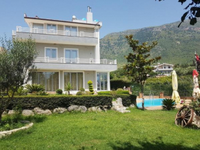Entire Villa Elida